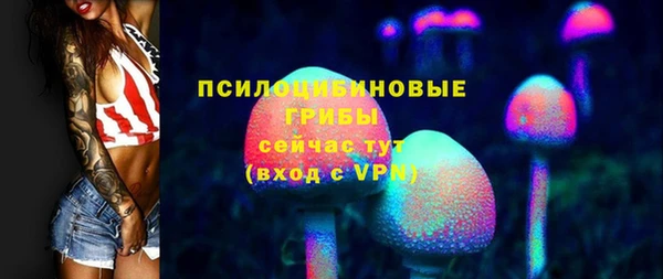 PSILOCYBIN Алексеевка