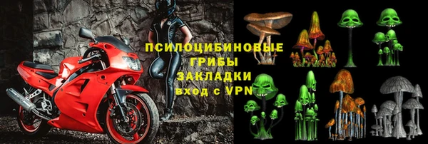 PSILOCYBIN Алексеевка